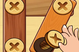 screw-nuts-bolts-wood-solve